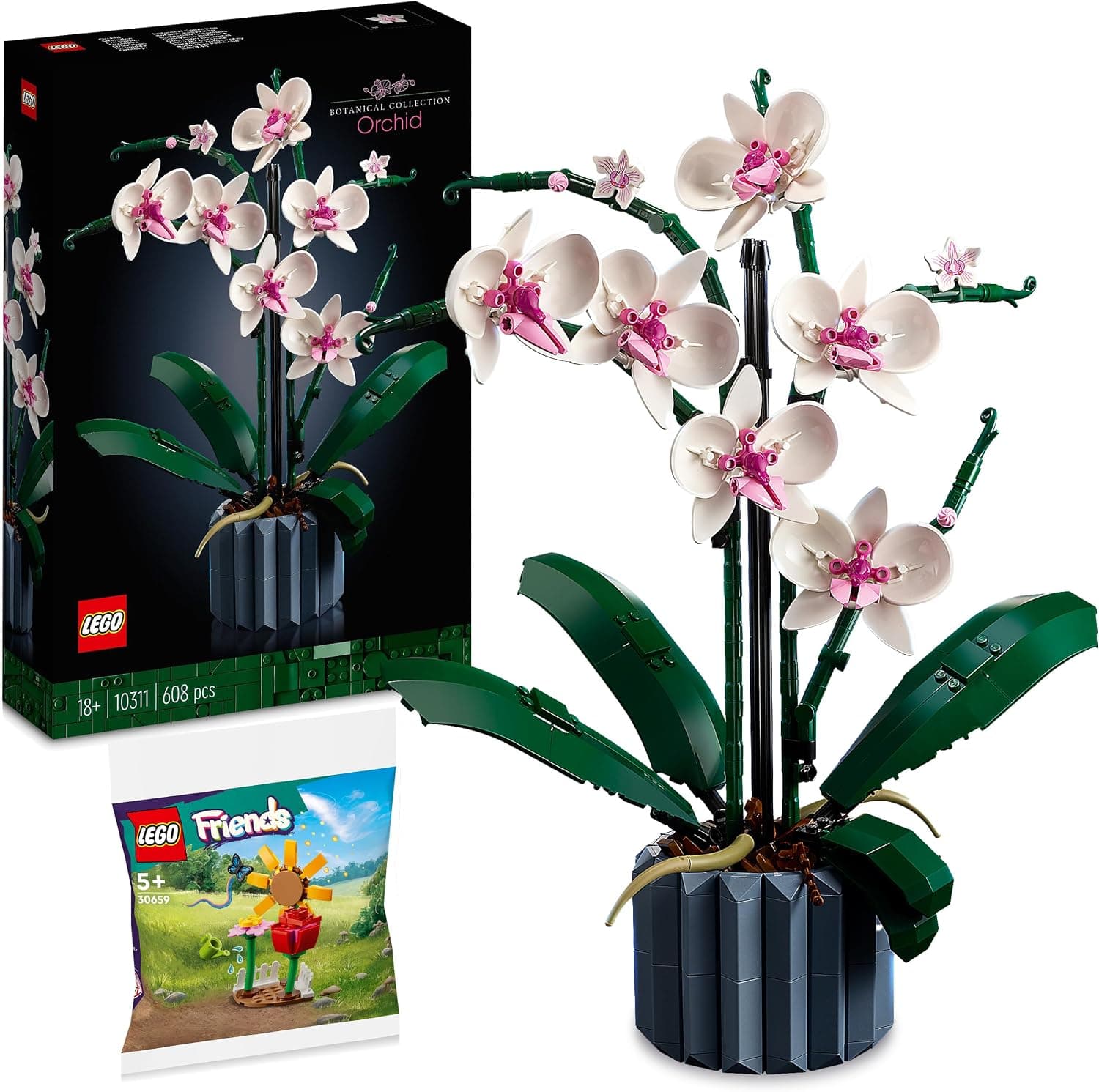 Best LEGO Botanical Sets Under £50 Ranked